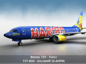 boeing 737-800 goldbair Modello 3D