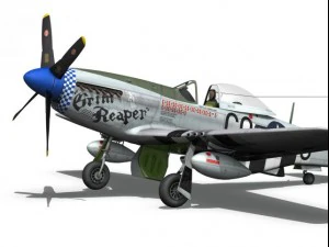 nordamerikanischer p51d Mustang Sensenmann 3D Modell