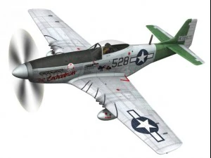 north american p51d mustang the enchantress 3D Model