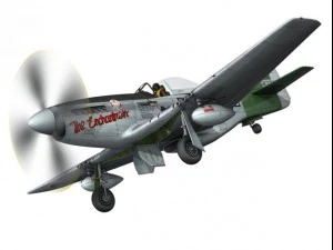 north american p51d mustang the enchantress 3D Model