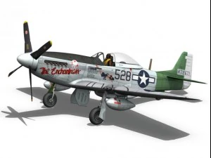 north american p51d mustang the enchantress 3D Model