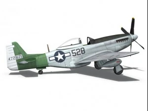north american p51d mustang the enchantress 3D Model