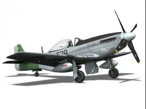 north american p51d mustang the enchantress 3D Model
