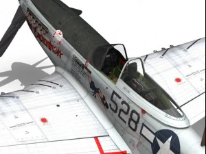 north american p51d mustang the enchantress 3D Model