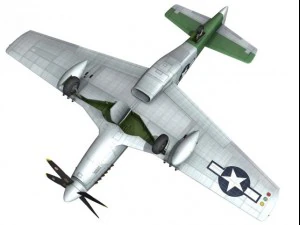 north american p51d mustang the enchantress 3D Model