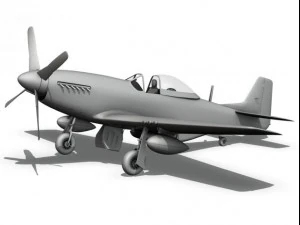 north american p51d mustang the enchantress 3D Model