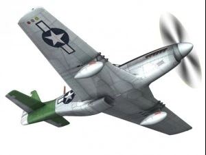 north american p51d mustang fighting lady 3D Model