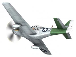 north american p51d mustang fighting lady 3D Model