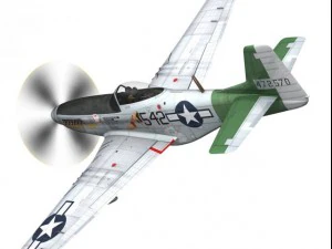 north american p51d mustang fighting lady 3D Model