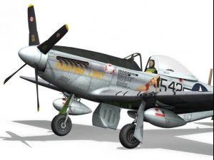 north american p51d mustang fighting lady 3D Model