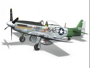 north american p51d mustang fighting lady 3D Model