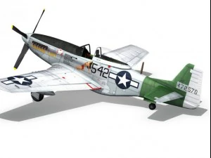 north american p51d mustang fighting lady 3D Model