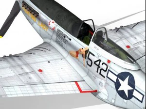 north american p51d mustang fighting lady 3D Model