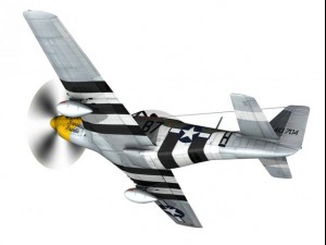 north american p51d mustang ferocious frankie 3D Model