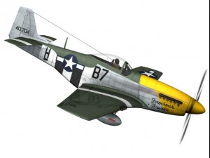 north american p51d mustang ferocious frankie 3D Model