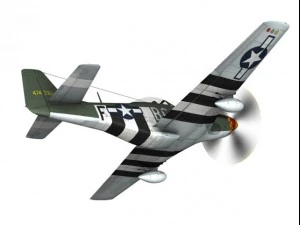 north american p51d mustang speedball alice 3D Model