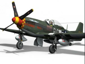 north american p51d mustang speedball alice 3D Model