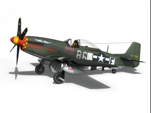 north american p51d mustang speedball alice 3D Model