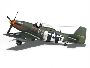 north american p51d mustang speedball alice 3D Model