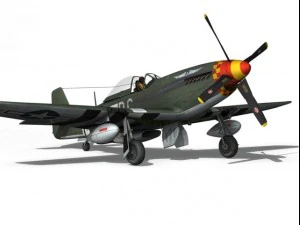north american p51d mustang speedball alice 3D Model
