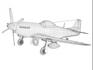 north american p51d mustang speedball alice 3D Model