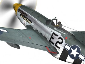 north american p51d mustang geraldine 3Dモデル