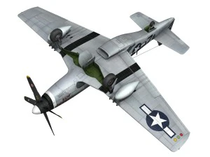 north american p51d mustang glengary guy 3D Model