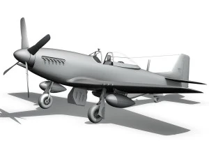 north american p51d mustang glengary guy 3D Model