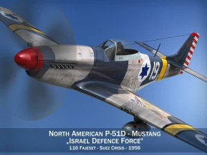 north american p51d mustang israel defence force 3D Model
