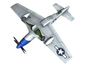 north american p51d mustang petie 2nd 3D Model