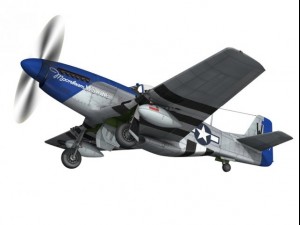 north american p51d mustang moonbeam mcswine 3D Model