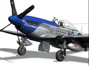 north american p51d mustang moonbeam mcswine 3D Model