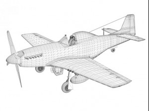north american p51d mustang moonbeam mcswine 3D Model