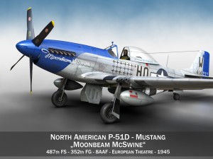 north american p51d mustang moonbeam mcswine 3D Model