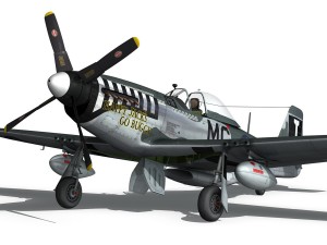 north american p51d mustang happy jacks go buggy 3D Model