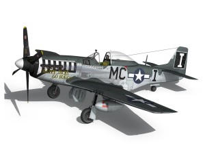 north american p51d mustang happy jacks go buggy 3D Model