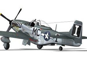 north american p51d mustang happy jacks go buggy 3D Model