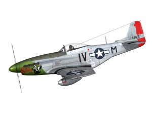 north american p51d mustang stinky 3D 模型