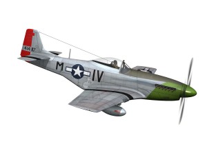 north american p51d mustang stinky 3D 模型