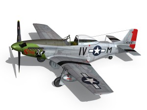 north american p51d mustang stinky 3D 模型