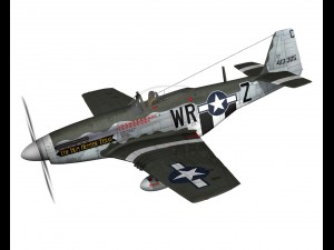 north american p51d the hun hunter texas 3D Model