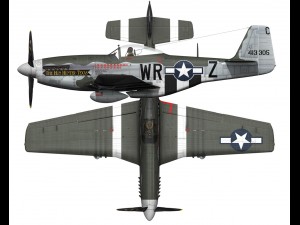 north american p51d the hun hunter texas 3D Model