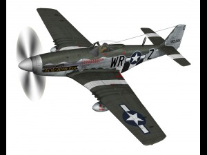 north american p51d the hun hunter texas 3D Model