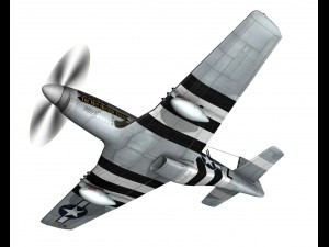 north american p51d the hun hunter texas 3D Model