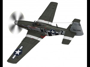 north american p51d the hun hunter texas 3D Model