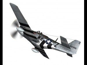 north american p51d the hun hunter texas 3D Model