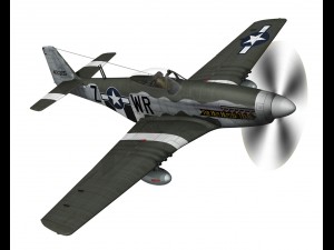 north american p51d the hun hunter texas 3D Model