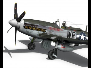 north american p51d the hun hunter texas 3D Model