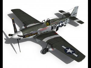 north american p51d the hun hunter texas 3D Model