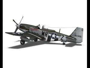 north american p51d the hun hunter texas 3D Model